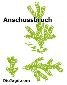 Anschussbruch