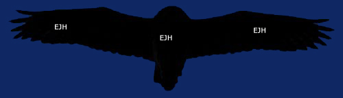 Flugbid Uhu