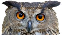 Uhu Federohren, Augen und Schnabel