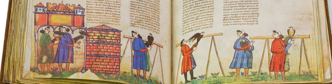 SlideFalknereiBuchFriedrich.jpg